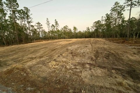 Terrain à Dunnellon, Floride № 2237829