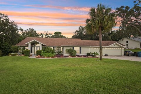 House in Spring Hill, Florida 4 bedrooms, 235.51 sq.m. № 1900110 - photo 1