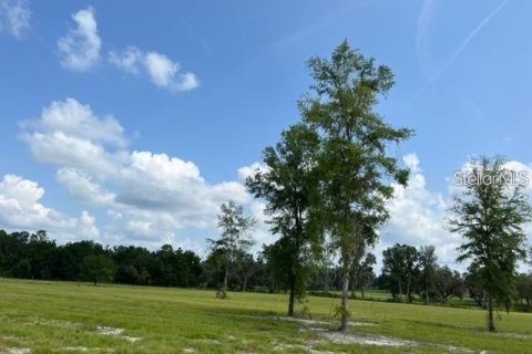 Terrain à Ocala, Floride № 2232831