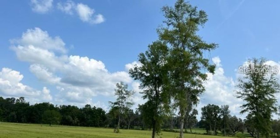 Terrain à Ocala, Floride № 2232831