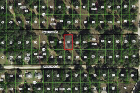 Terreno en venta en Inverness, Florida № 2205114 - foto 2