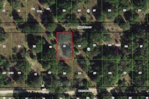 Terreno en Inverness, Florida № 2205114