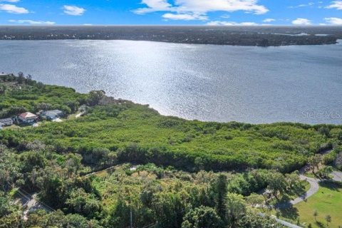 Land in Ellenton, Florida № 2233135 - photo 4