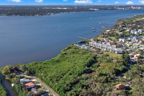 Land in Ellenton, Florida № 2233135 - photo 3