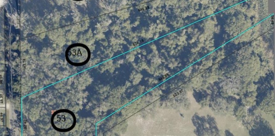 Land in Altamonte Springs, Florida № 1837127