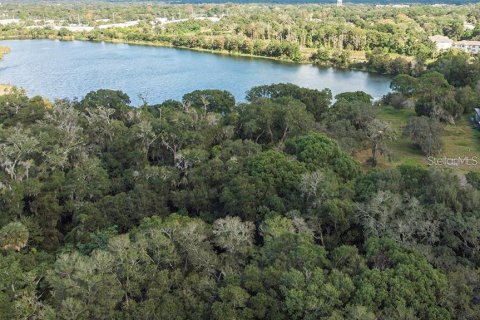 Land in Altamonte Springs, Florida № 1837127 - photo 2