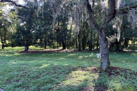 Land in Altamonte Springs, Florida № 1837127 - photo 7