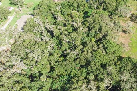 Land in Altamonte Springs, Florida № 1837127 - photo 3