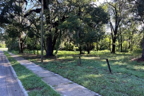 Land in Altamonte Springs, Florida № 1837127 - photo 5