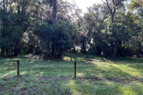 Land in Altamonte Springs, Florida № 1837127 - photo 6