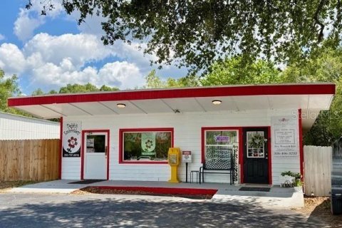 Immobilier commercial à vendre à Bell, Floride: 208.1 m2 № 2195424 - photo 2