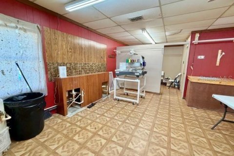 Immobilier commercial à vendre à Bell, Floride: 208.1 m2 № 2195424 - photo 14