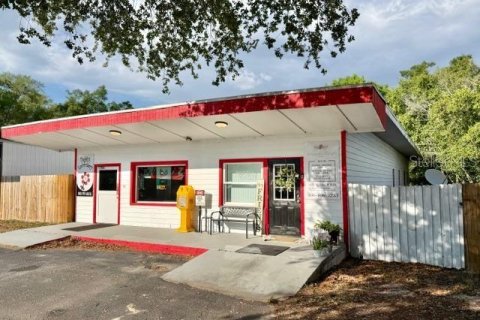 Immobilier commercial à vendre à Bell, Floride: 208.1 m2 № 2195424 - photo 4