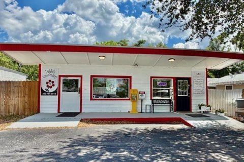 Commercial property in Bell, Florida 208.1 sq.m. № 2195424