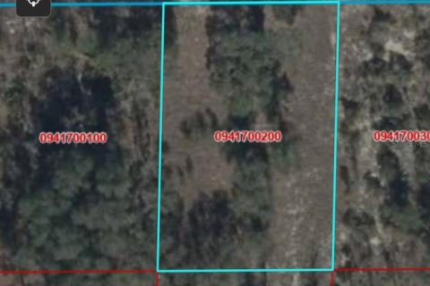 Land in Williston, Florida № 2201457 - photo 2