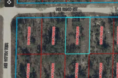Land in Williston, Florida № 2201457 - photo 4
