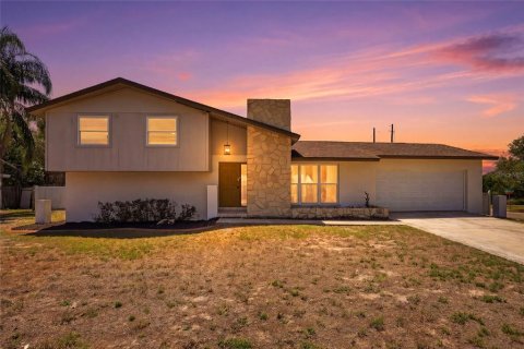 House in Brandon, Florida 4 bedrooms, 184.41 sq.m. № 2202397
