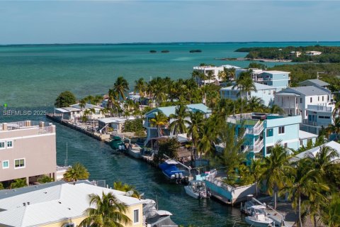 House in Tavernier, Florida 4 bedrooms, 291.71 sq.m. № 1987757 - photo 4