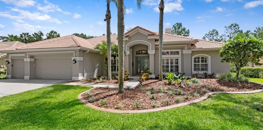 House in Tampa, Florida 5 bedrooms, 330.27 sq.m. № 1798540