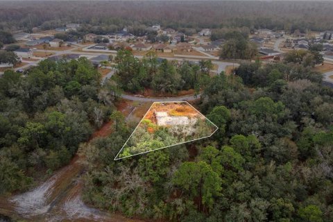 Купить земельный участок в Пайнсиана, Флорида № 2233604 - фото 23