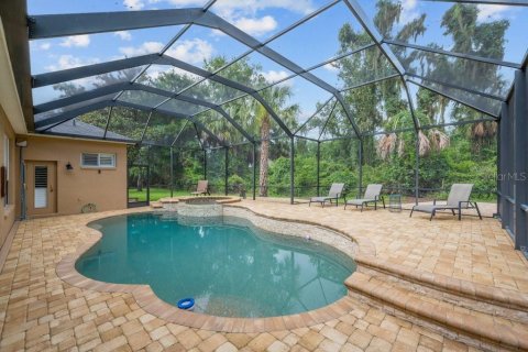House in Fish Hawk, Florida 4 bedrooms, 408.77 sq.m. № 2152225 - photo 3