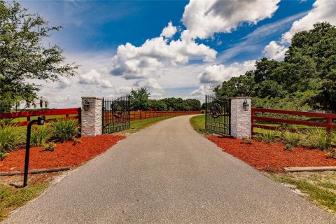 Villa ou maison à vendre à Arcadia, Floride: 5 chambres, 357.4 m2 № 1744187 - photo 5