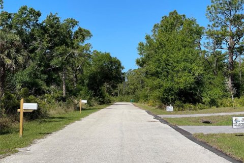 Land in Port Charlotte, Florida № 2164552 - photo 6