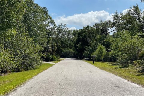 Land in Port Charlotte, Florida № 2164552 - photo 7
