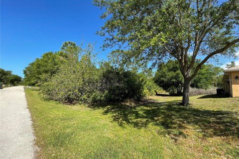 Land in Port Charlotte, Florida № 2164552 - photo 3