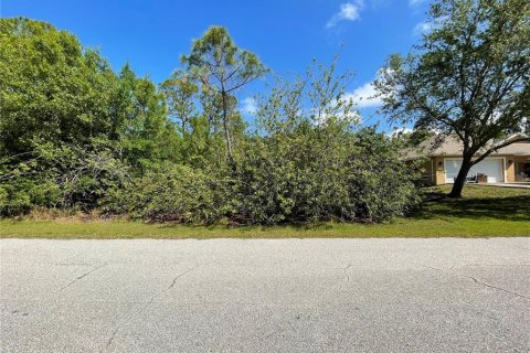Land in Port Charlotte, Florida № 2164552 - photo 2