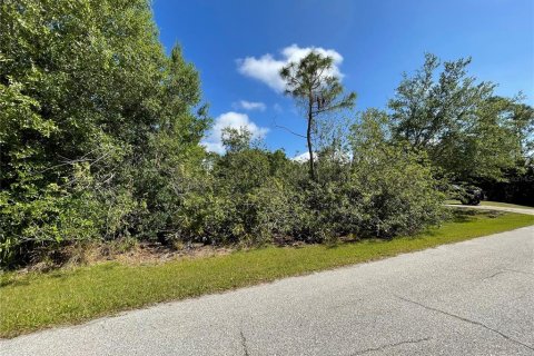 Land in Port Charlotte, Florida № 2164552 - photo 5