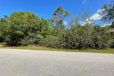Land in Port Charlotte, Florida № 2164552