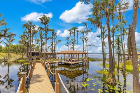 Villa ou maison à vendre à Windermere, Floride: 5 chambres, 784.37 m2 № 1770073 - photo 7
