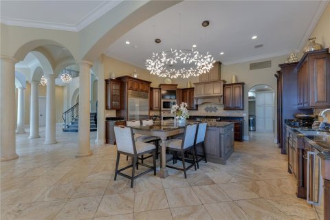 Villa ou maison à vendre à Windermere, Floride: 5 chambres, 784.37 m2 № 1770073 - photo 27