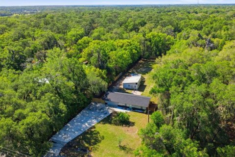 Commercial property in Orange City, Florida 83.61 sq.m. № 2201330 - photo 16
