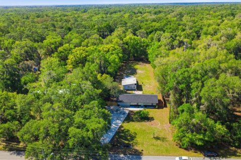 Commercial property in Orange City, Florida 83.61 sq.m. № 2201330 - photo 17