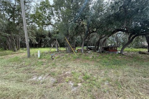 Land in Avon Park, Florida № 2369281