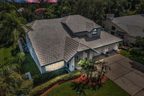 Villa ou maison à vendre à Safety Harbor, Floride: 4 chambres, 280.66 m2 № 1857695 - photo 3
