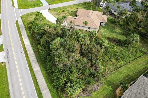 Terrain à vendre à Punta Gorda, Floride № 1800543 - photo 17