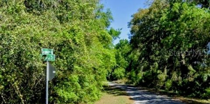Land in Ocklawaha, Florida № 2160440