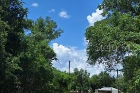 Land in Ocklawaha, Florida № 2160440 - photo 4