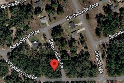 Land in Ocklawaha, Florida № 2160440 - photo 2