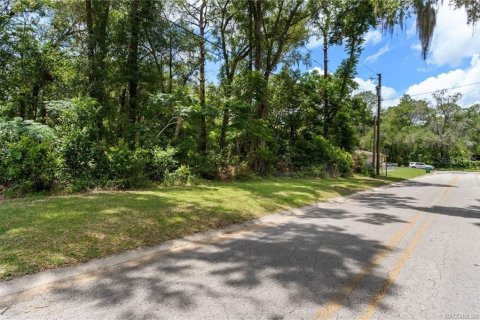 Terreno en venta en Inverness, Florida № 2214432 - foto 6