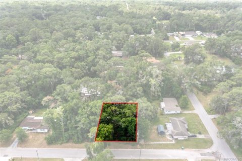 Terreno en venta en Inverness, Florida № 2214432 - foto 3