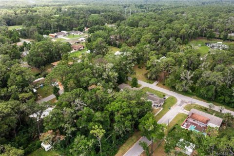 Terreno en venta en Inverness, Florida № 2214432 - foto 4