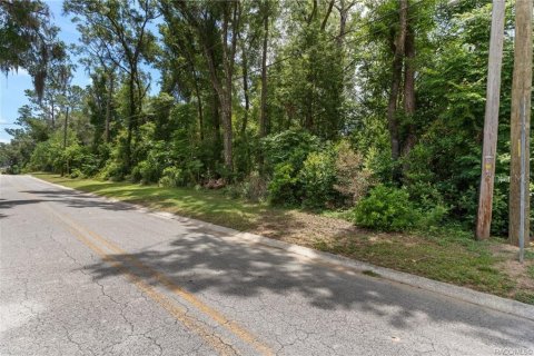 Terreno en venta en Inverness, Florida № 2214432 - foto 2