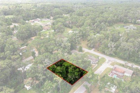 Terreno en venta en Inverness, Florida № 2214432 - foto 5