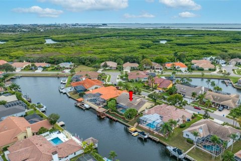 Villa ou maison à vendre à Tampa, Floride: 4 chambres, 296.36 m2 № 2121078 - photo 2