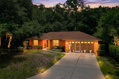 House in Ocklawaha, Florida 3 bedrooms, 126.53 sq.m. № 2211176