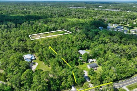 Land in Saint Augustine, Florida № 2222517